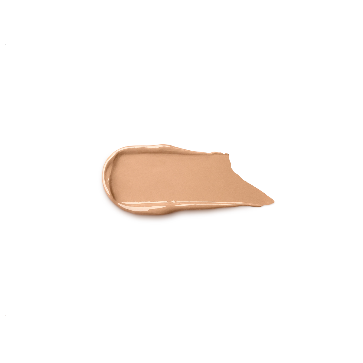 Snow-Kissed Holiday Silky Hydra Foundation & Concealer Spf30