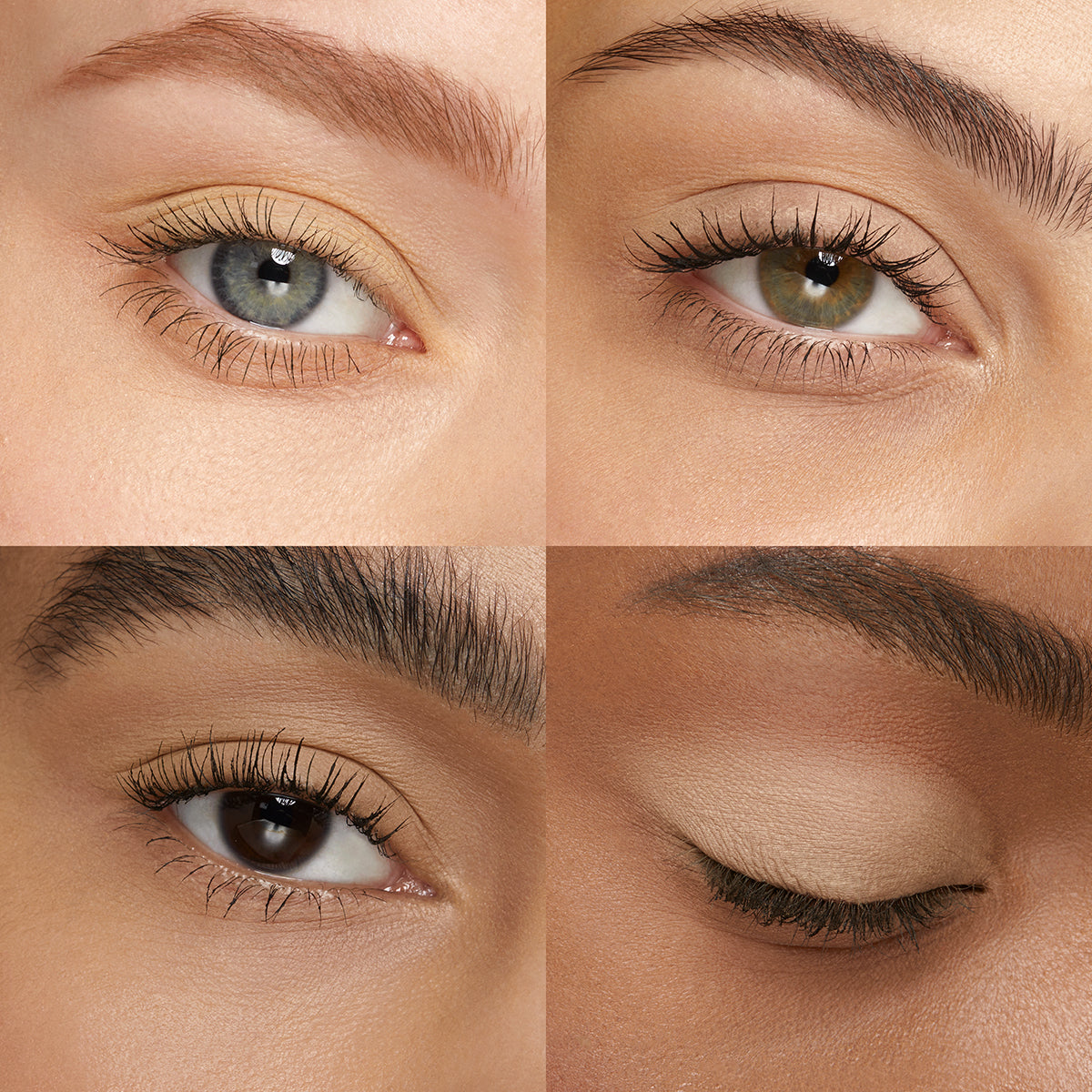 High Pigment Eyeshadow