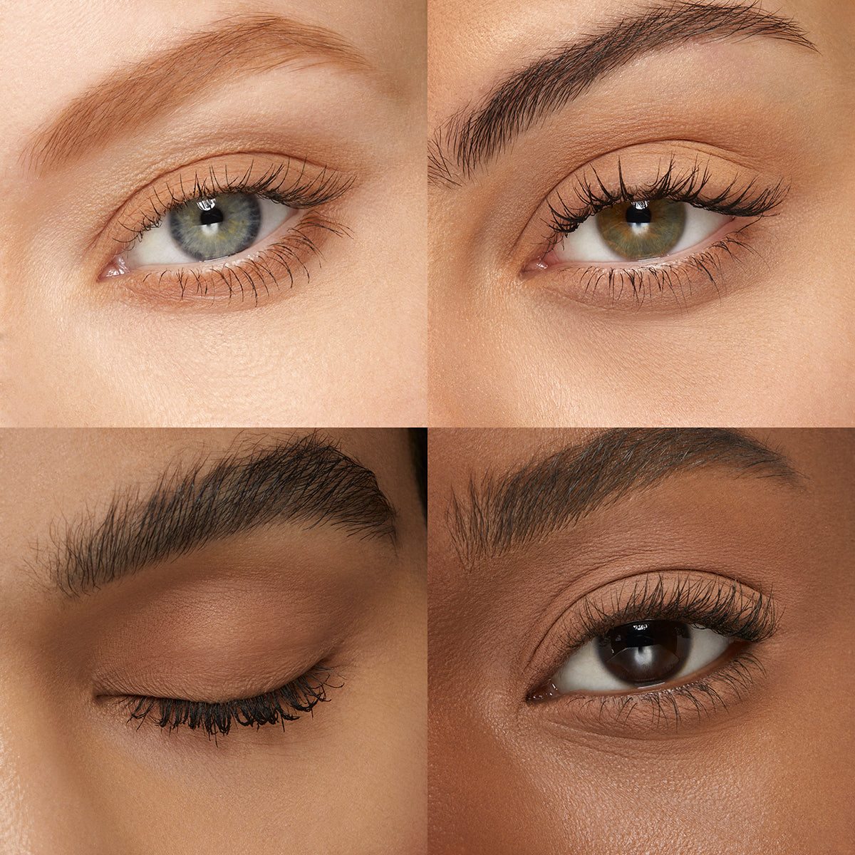 High Pigment Eyeshadow