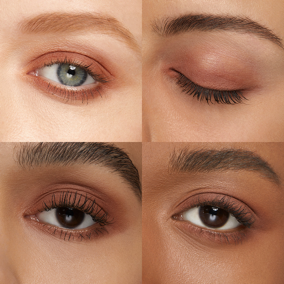 High Pigment Eyeshadow