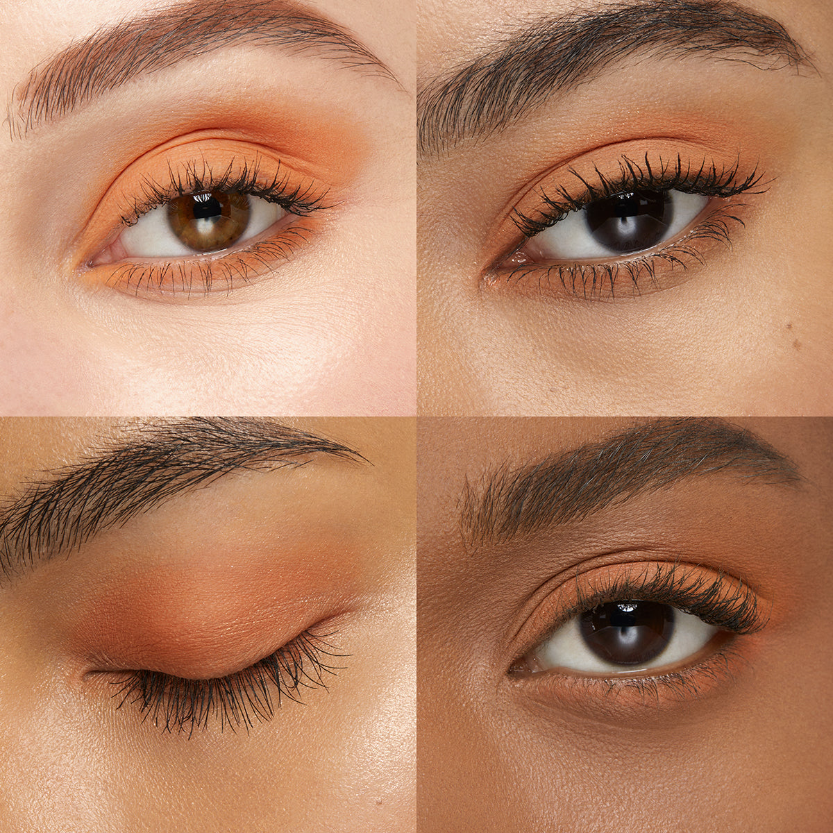 High Pigment Eyeshadow