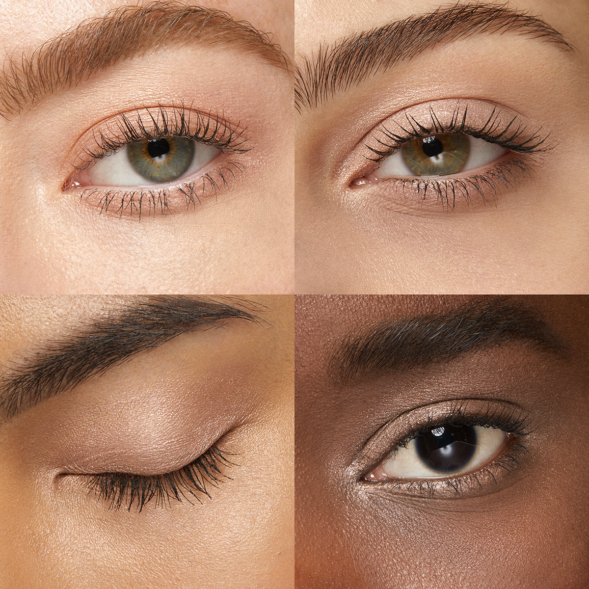 High Pigment Eyeshadow