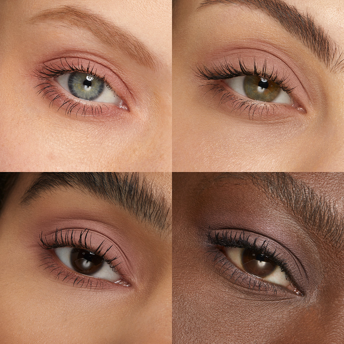 High Pigment Eyeshadow