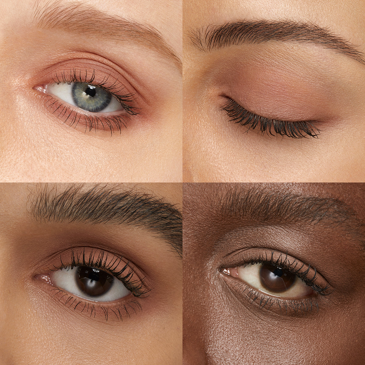 High Pigment Eyeshadow